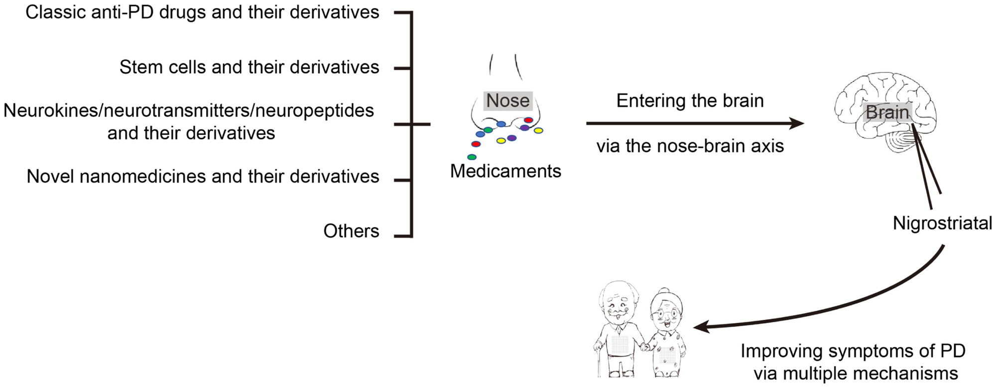 圖1:鼻內治療:帕金森病(PD)的有希望的選擇 圖1:鼻內治療:帕金森病(PD)的有希望的選擇