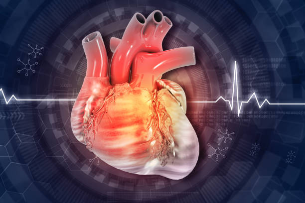 東方醫(yī)院團(tuán)隊(duì):人臍帶間充質(zhì)干細(xì)胞治療心衰注射液進(jìn)入臨床試驗(yàn) 東方醫(yī)院團(tuán)隊(duì):人臍帶間充質(zhì)干細(xì)胞治療心衰注射液進(jìn)入臨床試驗(yàn)