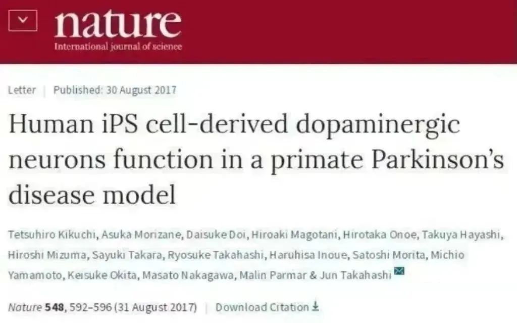 人類 iPS 細(xì)胞衍生的多巴胺能神經(jīng)元在靈長類帕金森病模型中發(fā)揮作用 人類 iPS 細(xì)胞衍生的多巴胺能神經(jīng)元在靈長類帕金森病模型中發(fā)揮作用