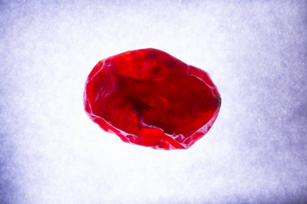 什么是血腦屏障?間充質(zhì)干細(xì)胞是否具備穿過(guò)血腦屏障的能力? 什么是血腦屏障?間充質(zhì)干細(xì)胞是否具備穿過(guò)血腦屏障的能力?