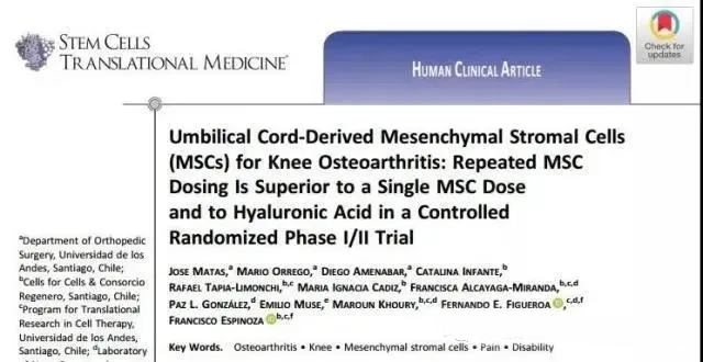 臍帶間充質(zhì)基質(zhì)細(xì)胞 (MSC) 治療膝骨關(guān)節(jié)炎:在一項(xiàng)隨機(jī)對(duì)照 I/II 期試驗(yàn)中,重復(fù) MsC 給藥優(yōu)于單次 MsC 給藥和透明質(zhì)酸 臍帶間充質(zhì)基質(zhì)細(xì)胞 (MSC) 治療膝骨關(guān)節(jié)炎:在一項(xiàng)隨機(jī)對(duì)照 I/II 期試驗(yàn)中,重復(fù) MsC 給藥優(yōu)于單次 MsC 給藥和透明質(zhì)酸
