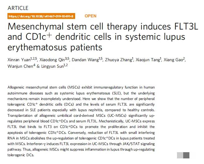 間充質干細胞治療系統性紅斑狼瘡患者誘導 FLT3L 和 CD1c+ 樹突狀細胞 間充質干細胞治療系統性紅斑狼瘡患者誘導 FLT3L 和 CD1c+ 樹突狀細胞