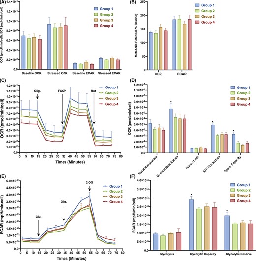 圖3:從對照組和2型糖尿病 (T2DM) 患者中分離的骨髓間充質(zhì)干細胞 (BM-MSC) 的代謝概況。 圖3:從對照組和2型糖尿病 (T2DM) 患者中分離的骨髓間充質(zhì)干細胞 (BM-MSC) 的代謝概況。