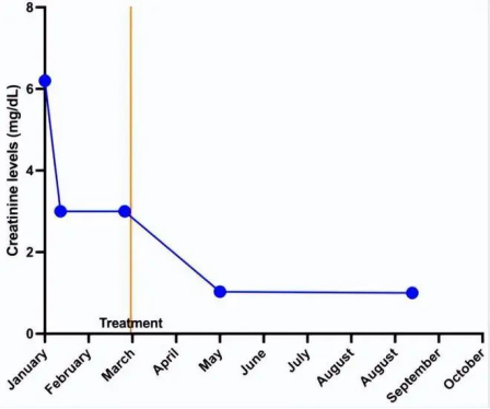 在6個月隨訪時,患者顯示血壓讀數正常(120/80 mmHg)。 在6個月隨訪時,患者顯示血壓讀數正常(120/80 mmHg)。