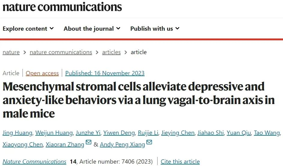 間充質基質細胞通過肺迷走神經-腦軸緩解雄性小鼠的抑郁和焦慮樣行為 間充質基質細胞通過肺迷走神經-腦軸緩解雄性小鼠的抑郁和焦慮樣行為