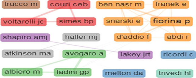 圖5:1型糖尿病干細胞療法的作者合作網絡。