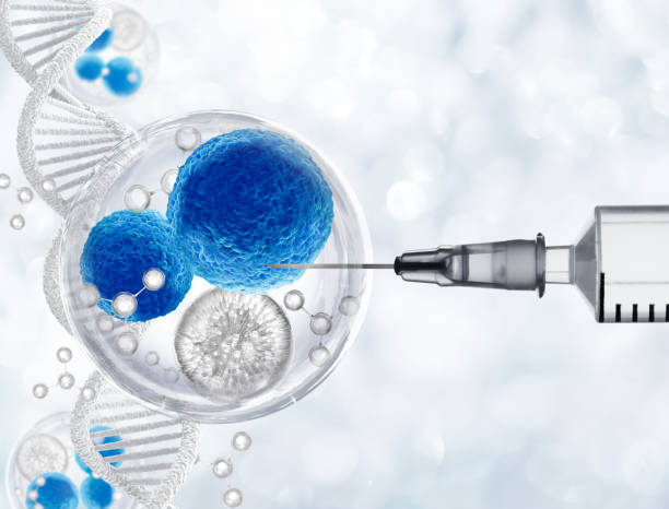 狼瘡性腎炎的治療方案 狼瘡性腎炎的治療方案