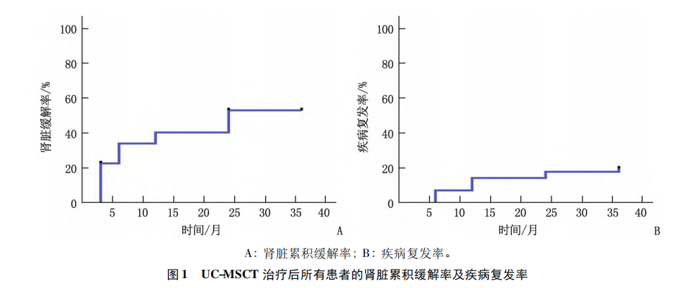 臍帶間充質(zhì)干細(xì)胞移植治療難治性狼瘡性腎炎的遠(yuǎn)期預(yù)后分析 臍帶間充質(zhì)干細(xì)胞移植治療難治性狼瘡性腎炎的遠(yuǎn)期預(yù)后分析