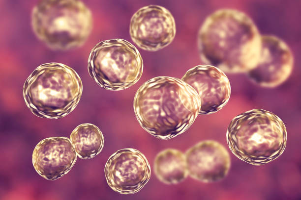 中國的人類多能干細胞生物庫的發(fā)展要迎來拐點了嗎？