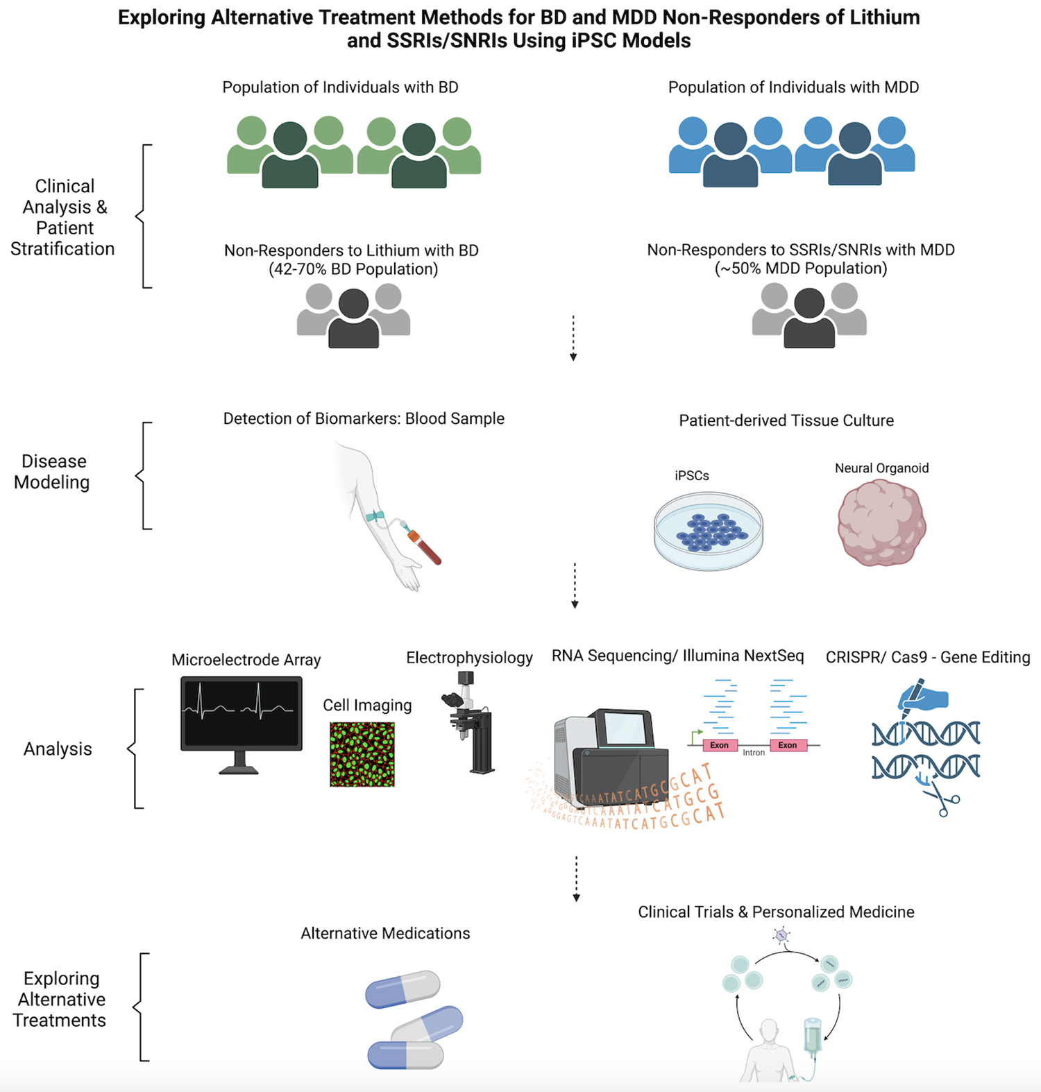 芹菜素更有效地減弱了BD患者iPSC衍生星形膠質(zhì)細(xì)胞的炎癥反應(yīng)。 芹菜素更有效地減弱了BD患者iPSC衍生星形膠質(zhì)細(xì)胞的炎癥反應(yīng)。