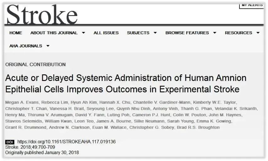 急性或延遲全身給藥羊膜上皮細胞改善實驗性腦卒中的預后 急性或延遲全身給藥羊膜上皮細胞改善實驗性腦卒中的預后