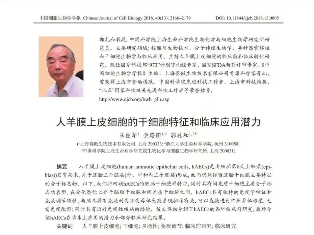 人羊膜上皮細胞的干細胞特征和臨床應用潛力 人羊膜上皮細胞的干細胞特征和臨床應用潛力