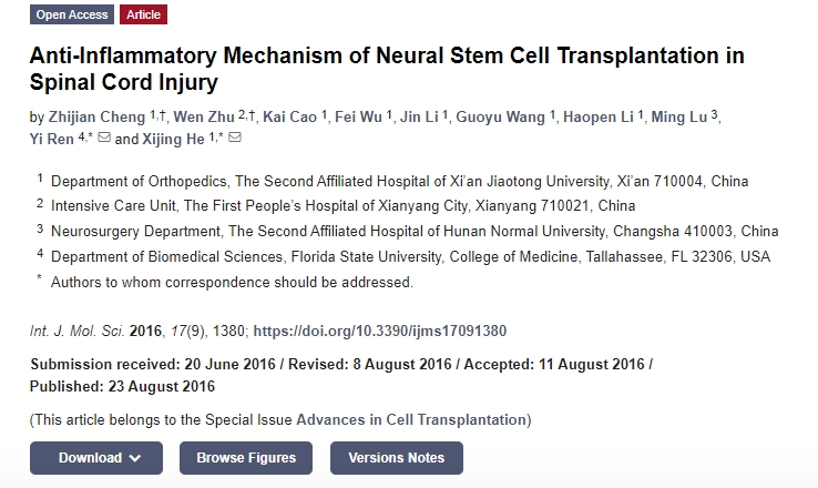 神經干細胞移植治療脊髓損傷的抗炎機制 神經干細胞移植治療脊髓損傷的抗炎機制
