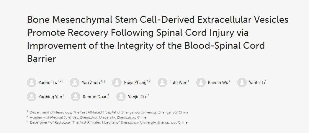 骨髓間充質干細胞衍生的細胞外囊泡通過改善血脊髓屏障的完整性促進脊髓損傷后的恢復 骨髓間充質干細胞衍生的細胞外囊泡通過改善血脊髓屏障的完整性促進脊髓損傷后的恢復