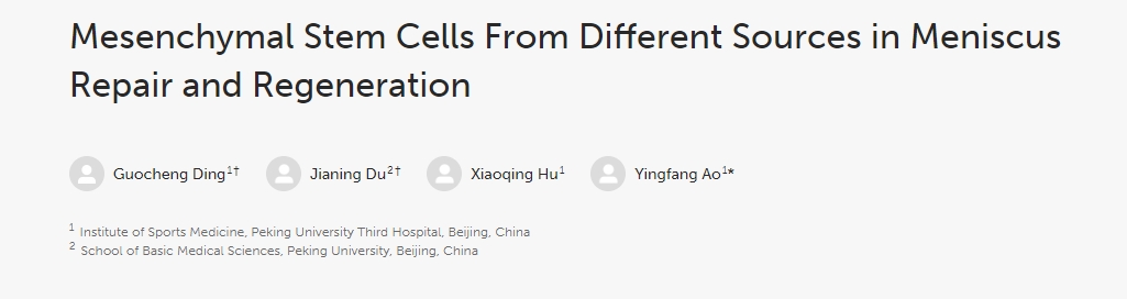 不同來源的間充質干細胞在半月板修復和再生中的作用 不同來源的間充質干細胞在半月板修復和再生中的作用