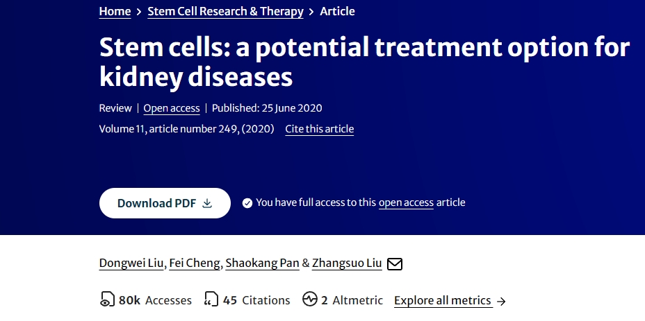 干細(xì)胞:腎臟疾病的潛在治療選擇 干細(xì)胞:腎臟疾病的潛在治療選擇