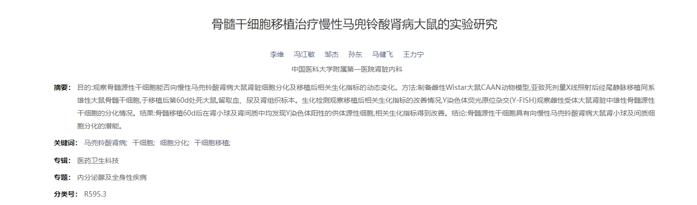 骨髓干細(xì)胞移植治療慢性馬兜鈴酸腎病大鼠的實(shí)驗(yàn)研究 骨髓干細(xì)胞移植治療慢性馬兜鈴酸腎病大鼠的實(shí)驗(yàn)研究