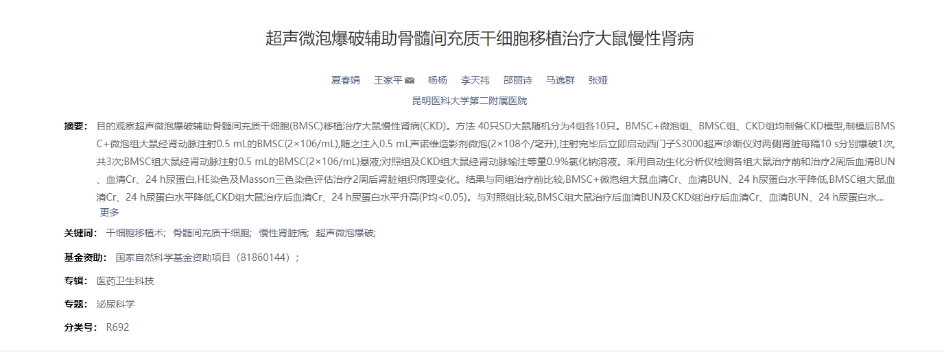 聲微泡爆破輔助骨髓間充質(zhì)干細(xì)胞移植治療大鼠慢性腎病 聲微泡爆破輔助骨髓間充質(zhì)干細(xì)胞移植治療大鼠慢性腎病