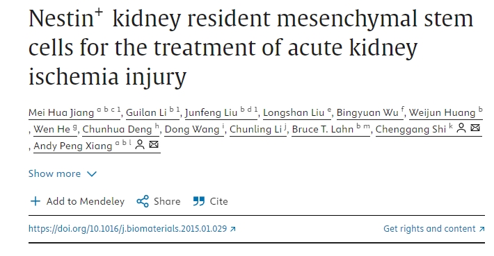 Nestin?+腎臟駐留間充質干細胞治療急性腎缺血損傷 Nestin?+腎臟駐留間充質干細胞治療急性腎缺血損傷