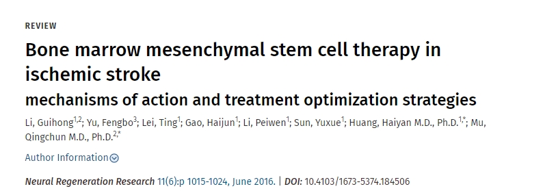 骨髓間充質干細胞治療缺血性腦卒中的作用機制及治療優化策略 骨髓間充質干細胞治療缺血性腦卒中的作用機制及治療優化策略