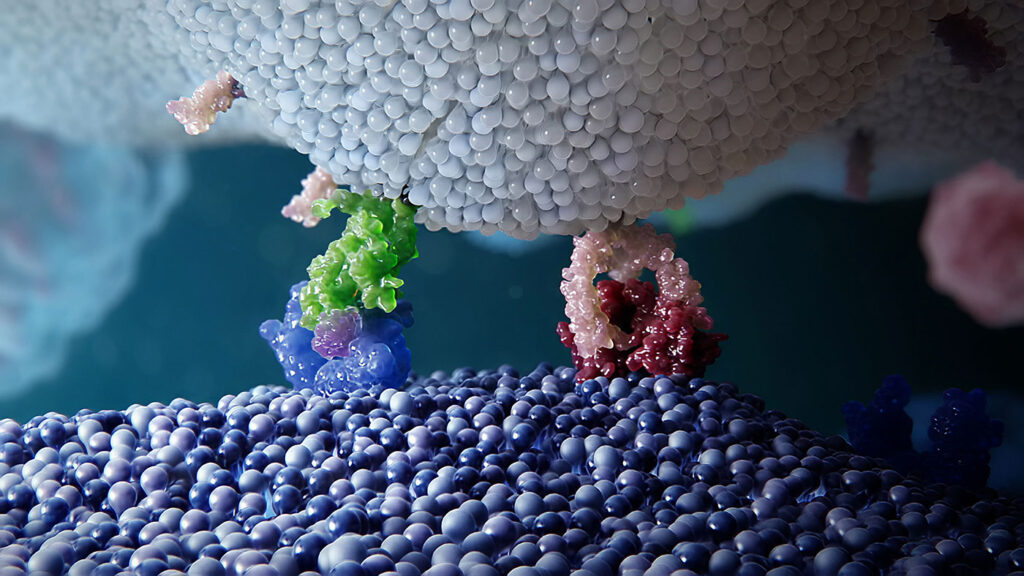 他的團隊發現了一種名為A20的關鍵蛋白 他的團隊發現了一種名為A20的關鍵蛋白