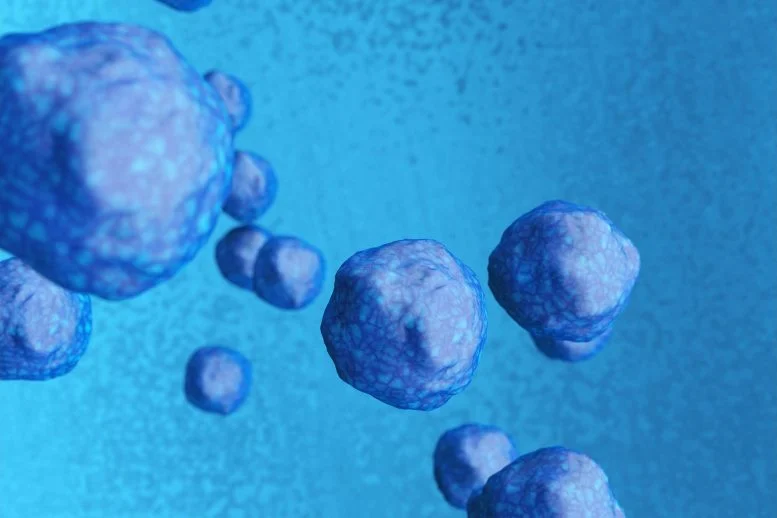 杜克大學-新加坡國立大學和MBI的科學家發現了一種激活休眠神經干細胞的途徑,通過針對星形膠質細胞和神經干細胞之間的相互作用,有可能為神經發育障礙帶來新的治療方法。 杜克大學-新加坡國立大學和MBI的科學家發現了一種激活休眠神經干細胞的途徑,通過針對星形膠質細胞和神經干細胞之間的相互作用,有可能為神經發育障礙帶來新的治療方法。