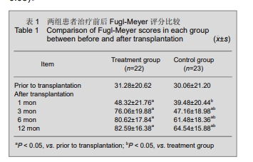 肢體運動功能 肢體運動功能
