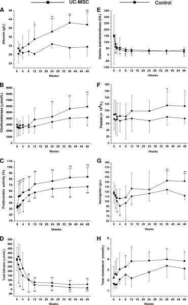 UC-MSC 輸血對肝功能的影響。 UC-MSC 輸血對肝功能的影響。