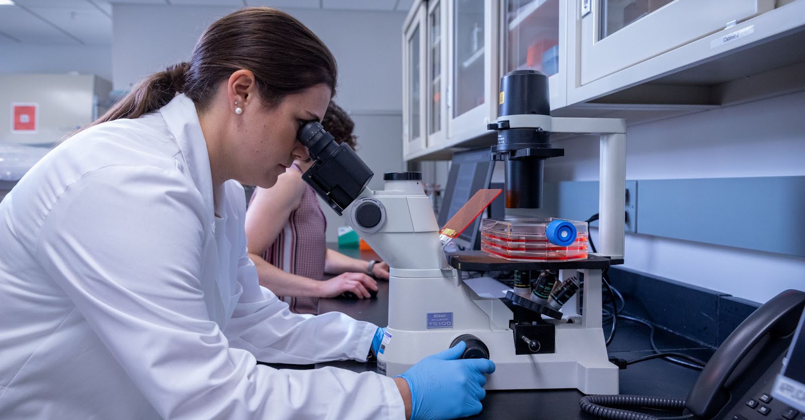 在干細胞用于治療之前,必須對其進行適當的激活和培養。 在干細胞用于治療之前,必須對其進行適當的激活和培養。