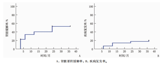 總生存率、腎臟緩解率及復(fù)發(fā)率 總生存率、腎臟緩解率及復(fù)發(fā)率