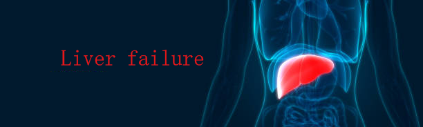 兩大醫院證明:干細胞療法能夠提高肝衰竭患者生存率并且改善肝功能! 兩大醫院證明:干細胞療法能夠提高肝衰竭患者生存率并且改善肝功能!