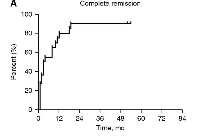 隊列中患者的完全緩解、腎臟存活(見圖3A,圖3B) 隊列中患者的完全緩解、腎臟存活(見圖3A,圖3B)
