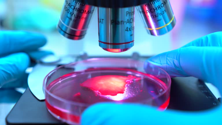 間充質干細胞療法的利與弊 間充質干細胞療法的利與弊