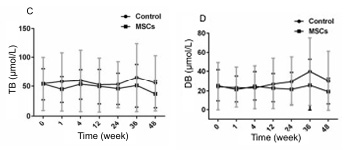人臍帶間充質干細胞(hUC-MSC)治療對肝硬化失代償期患者肝功能的影響 人臍帶間充質干細胞(hUC-MSC)治療對肝硬化失代償期患者肝功能的影響