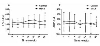 人臍帶間充質干細胞(hUC-MSC)治療對肝硬化失代償期患者肝功能的影響 人臍帶間充質干細胞(hUC-MSC)治療對肝硬化失代償期患者肝功能的影響