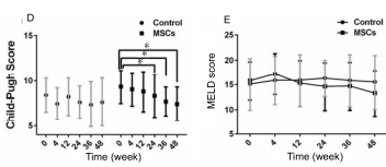 人臍帶間充質干細胞(hUC-MSC)治療對肝硬化失代償期腹水患者腎功能、凝血功能及Child-Pugh和MELD評分的影響 人臍帶間充質干細胞(hUC-MSC)治療對肝硬化失代償期腹水患者腎功能、凝血功能及Child-Pugh和MELD評分的影響