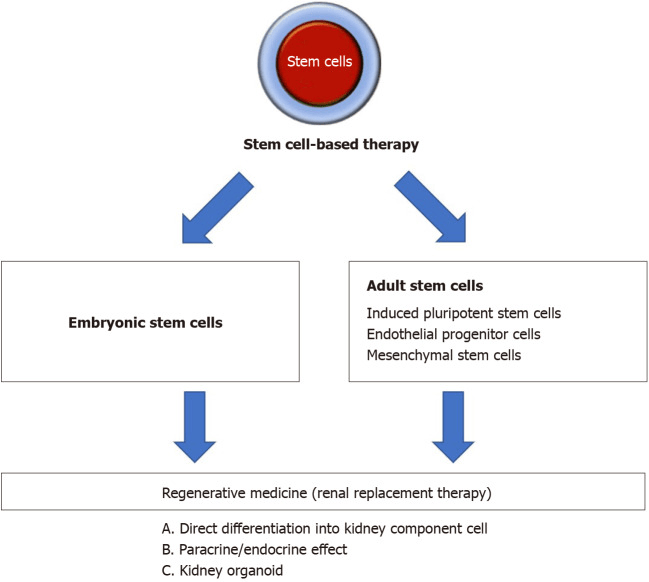 圖1:基于干細胞治療腎臟疾病的策略概述 圖1:基于干細胞治療腎臟疾病的策略概述
