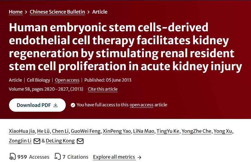 人類胚胎干細胞衍生的內皮細胞療法通過刺激急性腎損傷中腎臟駐留干細胞增殖促進腎臟再生 人類胚胎干細胞衍生的內皮細胞療法通過刺激急性腎損傷中腎臟駐留干細胞增殖促進腎臟再生