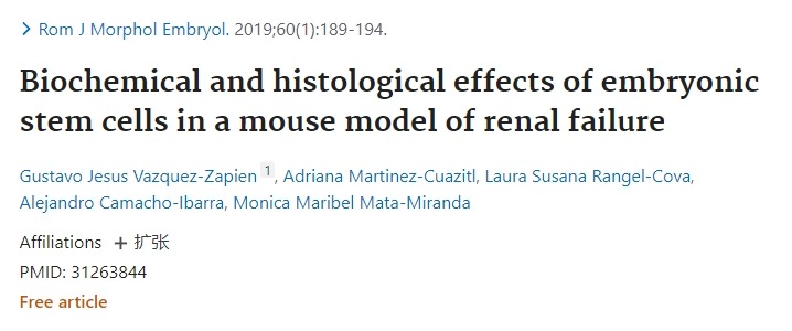 胚胎干細胞在小鼠腎衰竭中的生化和組織學作用 胚胎干細胞在小鼠腎衰竭中的生化和組織學作用