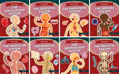 人體八大系統疾病有哪些？間充質干細胞治療的案例有哪些？