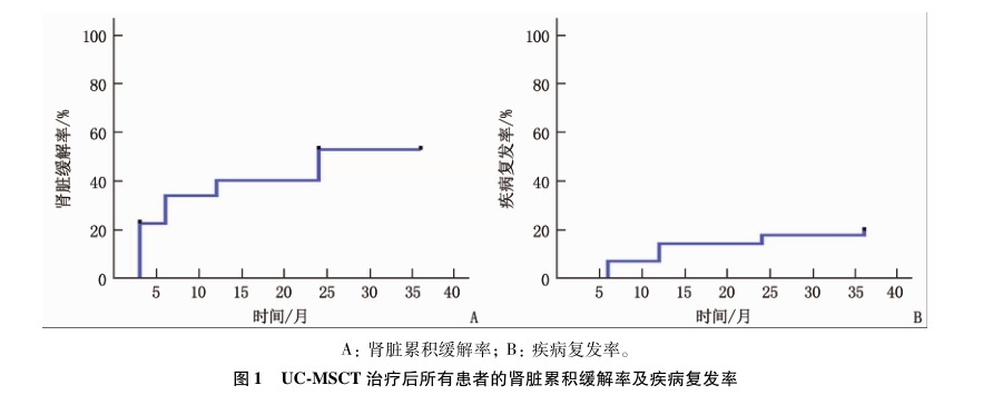 圖1 UC-MSCT 治療后所有患者的腎臟累積緩解率及疾病復(fù)發(fā)率 圖1 UC-MSCT 治療后所有患者的腎臟累積緩解率及疾病復(fù)發(fā)率