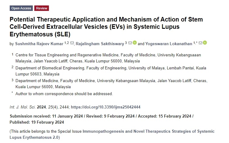 干細(xì)胞來源的細(xì)胞外囊泡(EVs)在系統(tǒng)性紅斑狼瘡(SLE)中的潛在治療應(yīng)用和作用機(jī)制 干細(xì)胞來源的細(xì)胞外囊泡(EVs)在系統(tǒng)性紅斑狼瘡(SLE)中的潛在治療應(yīng)用和作用機(jī)制