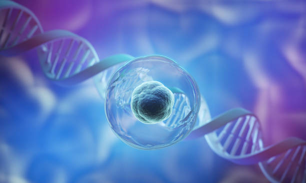 關(guān)于干細(xì)胞療法的5個(gè)誤解:科學(xué)是怎么說的 關(guān)于干細(xì)胞療法的5個(gè)誤解:科學(xué)是怎么說的