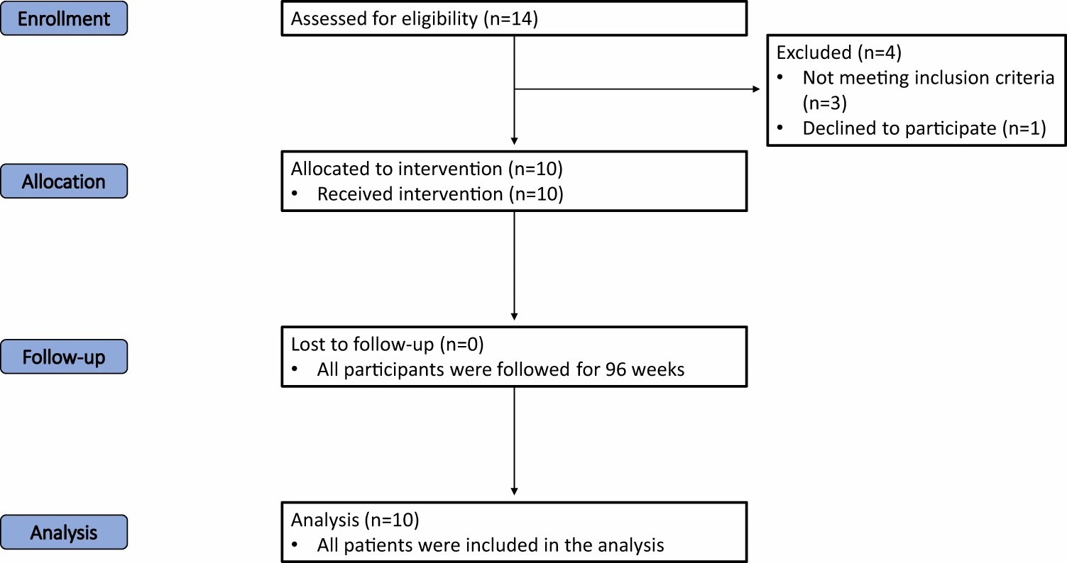 圖一:試驗各階段(招募、分配、跟進和分析)進展的流程圖 圖一:試驗各階段(招募、分配、跟進和分析)進展的流程圖