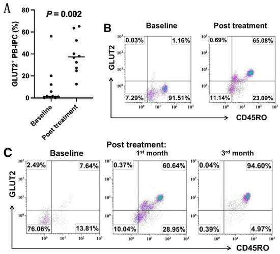 圖1:接受干細(xì)胞教育療法治療后,患者中GLUT2+CD45RO+PB-IPC 的百分比增加 圖1:接受干細(xì)胞教育療法治療后,患者中GLUT2+CD45RO+PB-IPC 的百分比增加