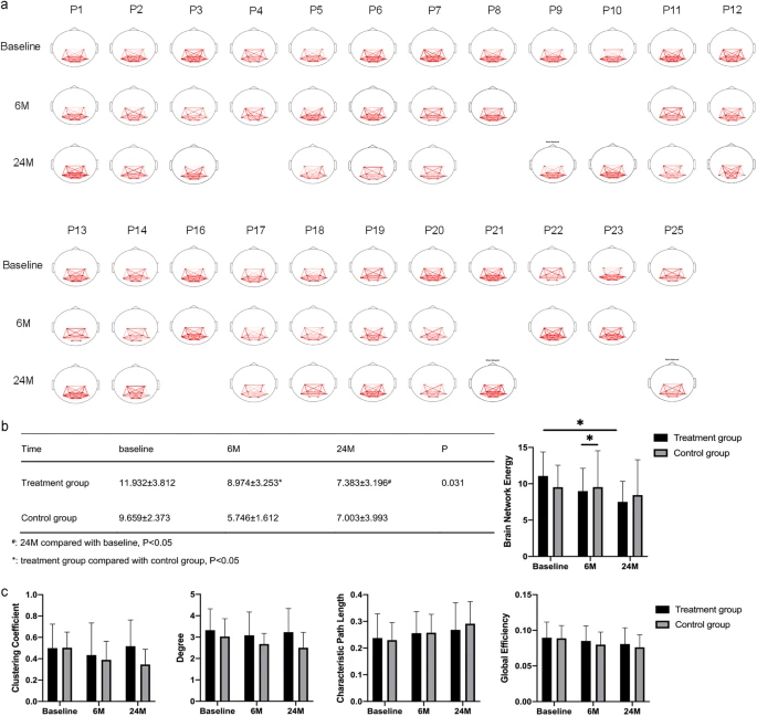 圖1:腦功能網絡分析 圖1:腦功能網絡分析