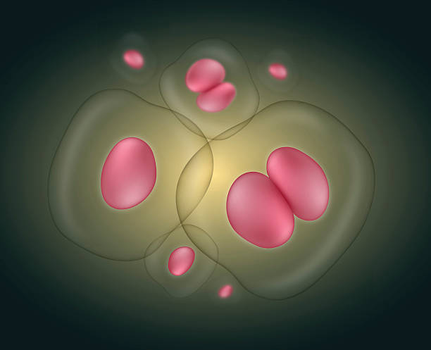 哪些類型的干細胞適合治療? 哪些類型的干細胞適合治療?