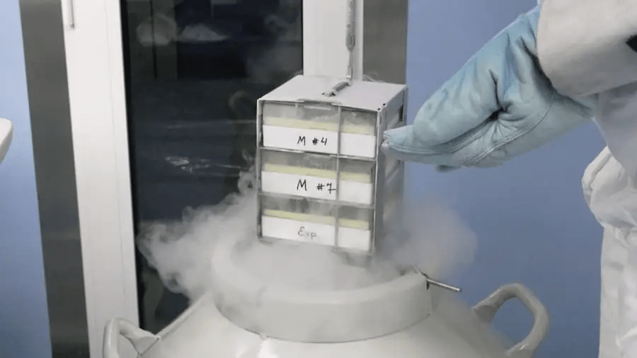 從實驗室到臨床:干細胞機構是如何生產(chǎn)高質量干細胞的?