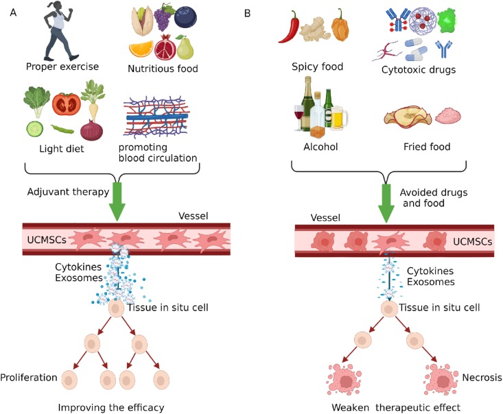圖3:臍帶間充質干細胞治療期間應避免輔助療法、藥物及食物。