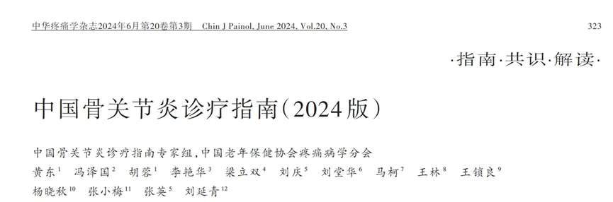 中國骨關節炎診療指南(2024版) 中國骨關節炎診療指南(2024版)